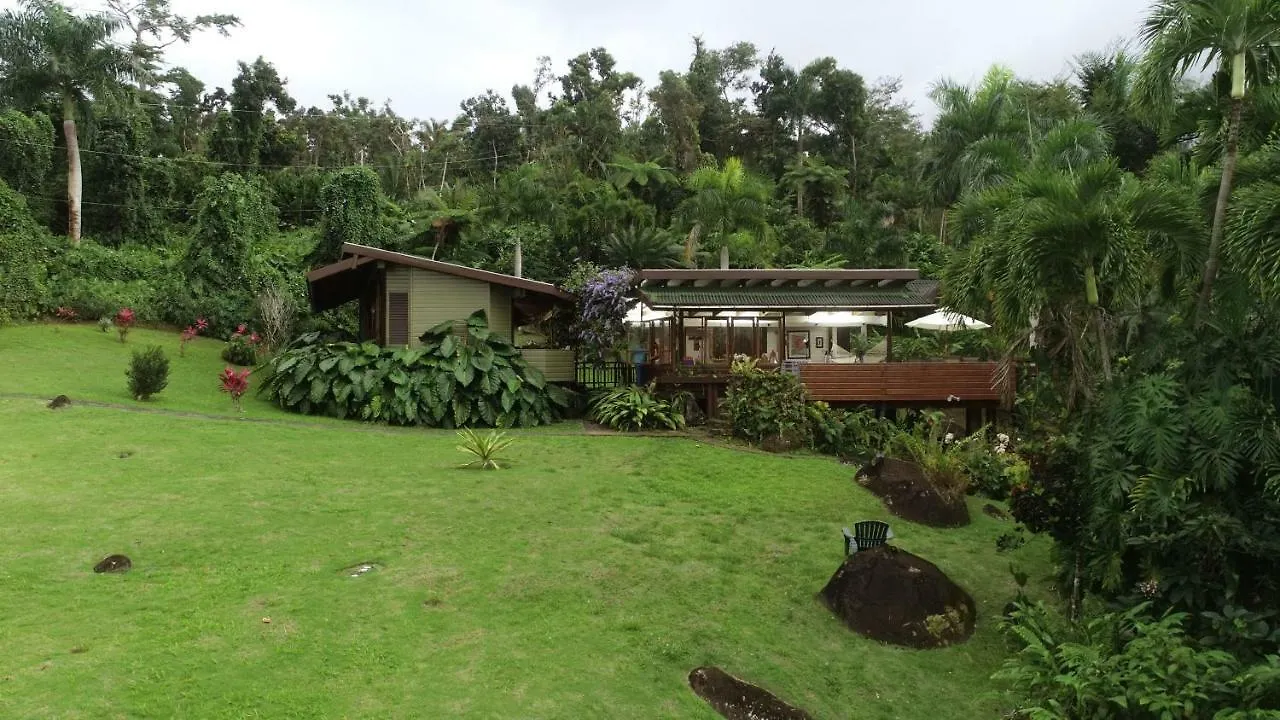 Casa Tugwell, A Mystic Chalet Inside El Yunque Rainforest Hotel Rio Grande Holiday home