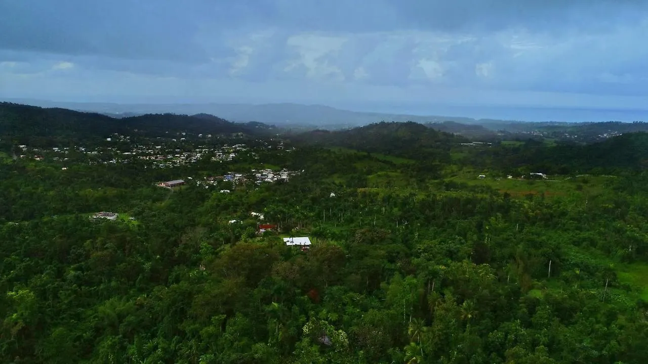 Holiday home Casa Tugwell, A Mystic Chalet Inside El Yunque Rainforest Hotel Rio Grande Puerto Rico