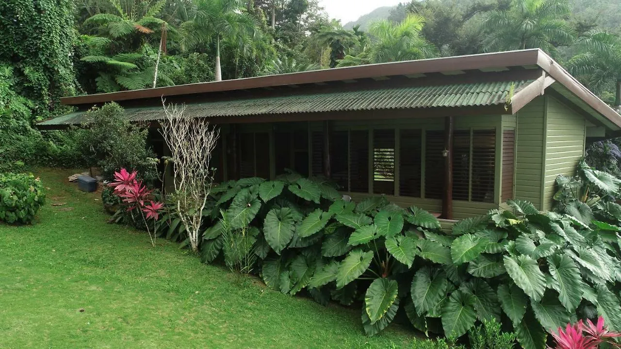 Casa Tugwell, A Mystic Chalet Inside El Yunque Rainforest Hotel Rio Grande