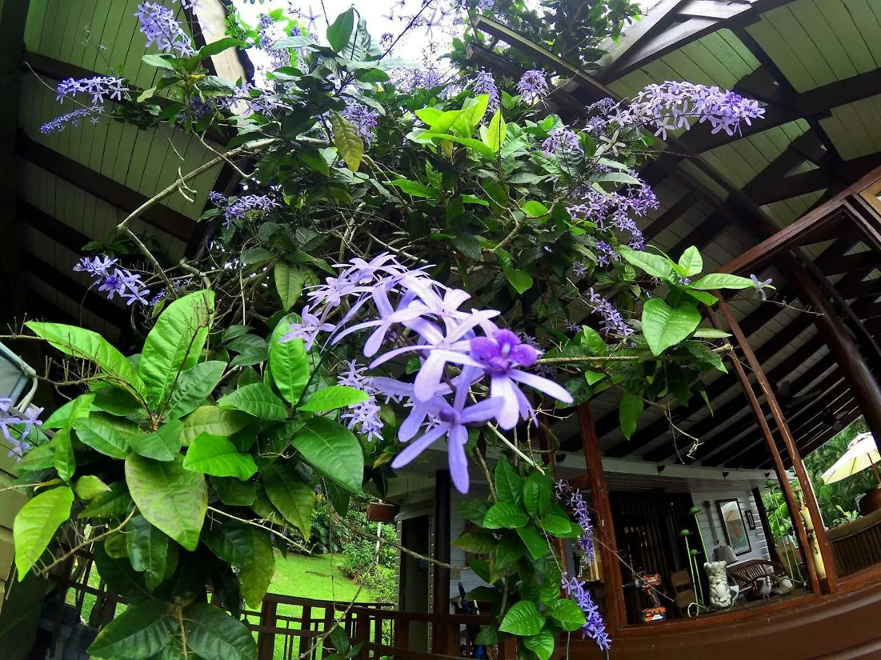 Holiday home Casa Tugwell, A Mystic Chalet Inside El Yunque Rainforest Hotel Rio Grande