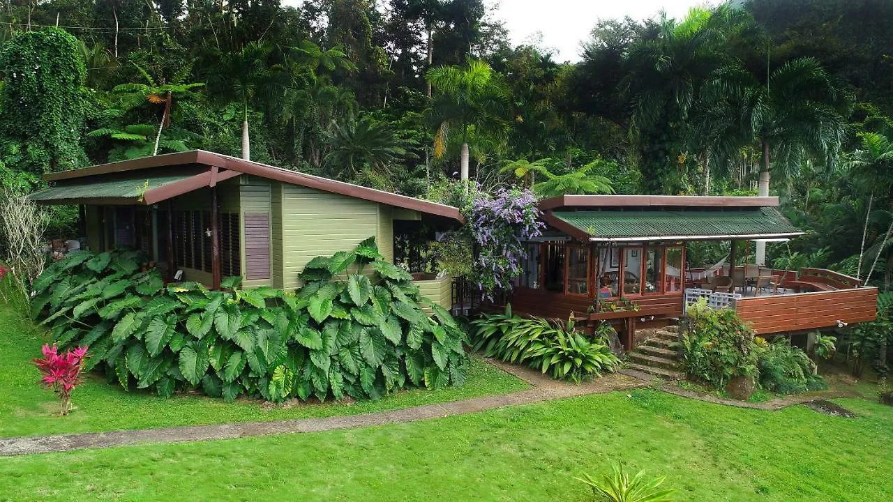 Casa Tugwell, A Mystic Chalet Inside El Yunque Rainforest contacts